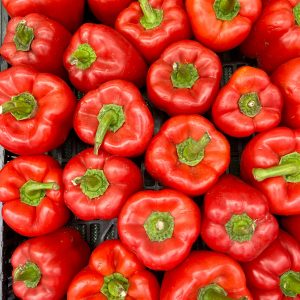 pexels nestor santos 16617699 13245473